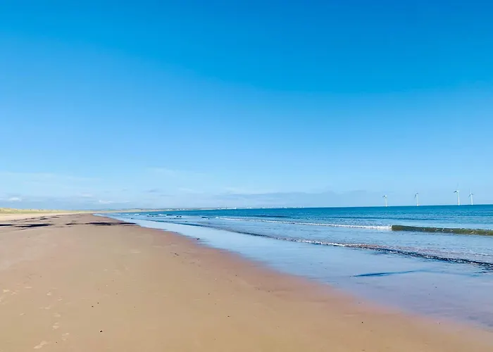 假日公园 97 Danbury 雷德卡