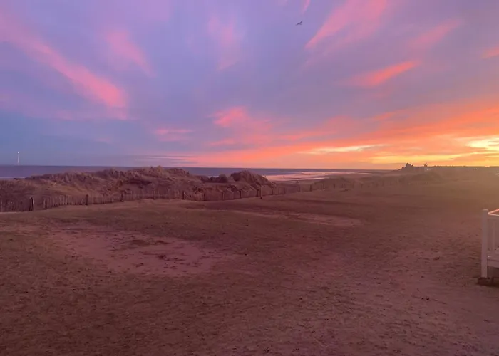 假日公园 97 Danbury *