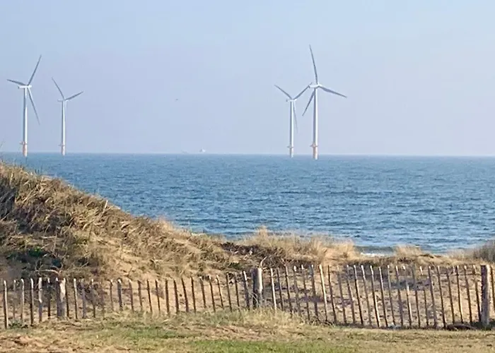 97 Danbury * 雷德卡